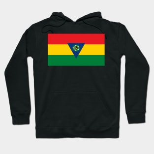 Socialist Tropican flag (iteration 2) Hoodie